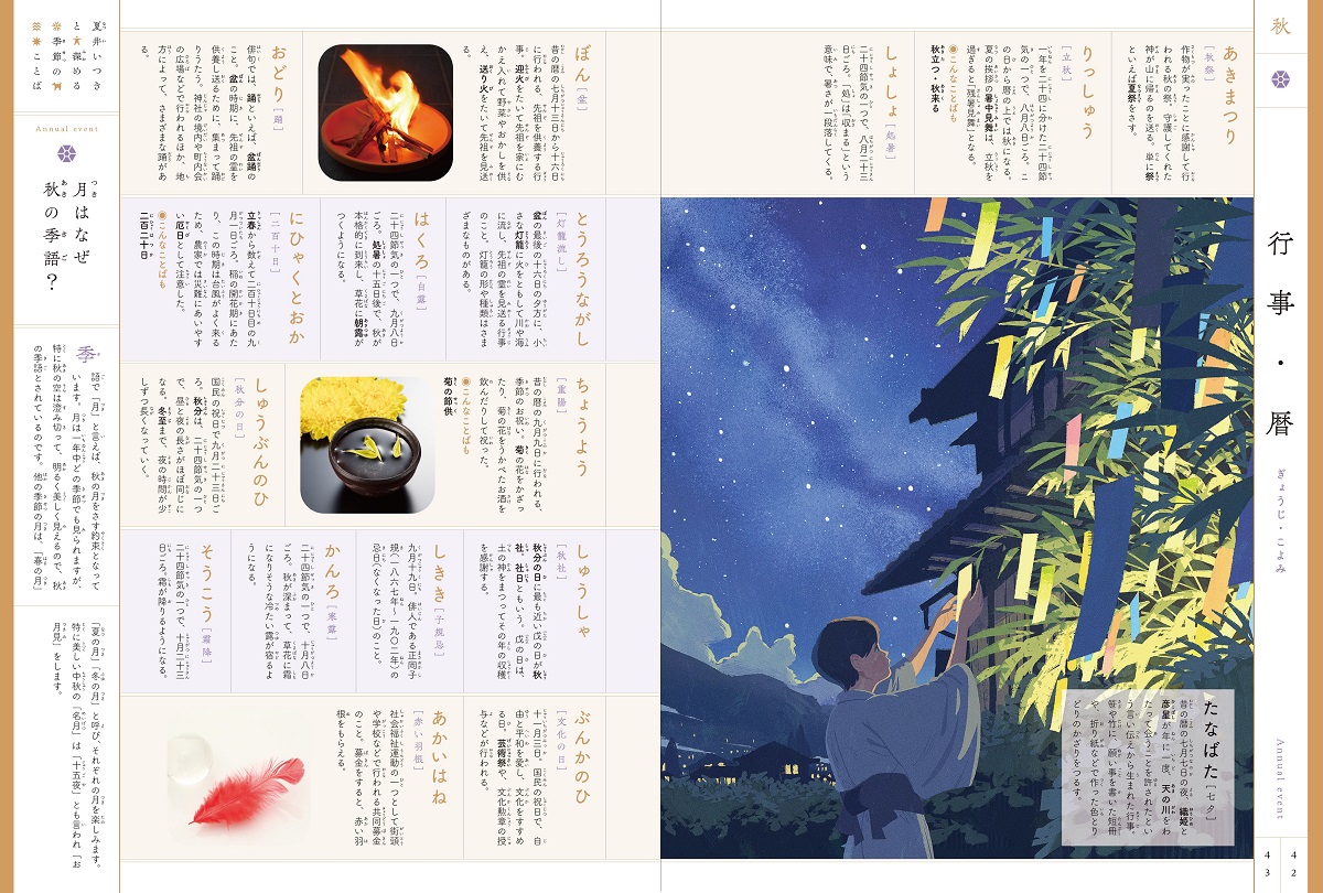 サムネイル画像4
