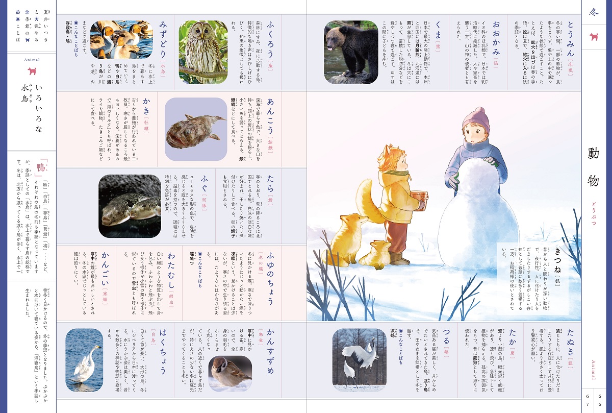 サムネイル画像5