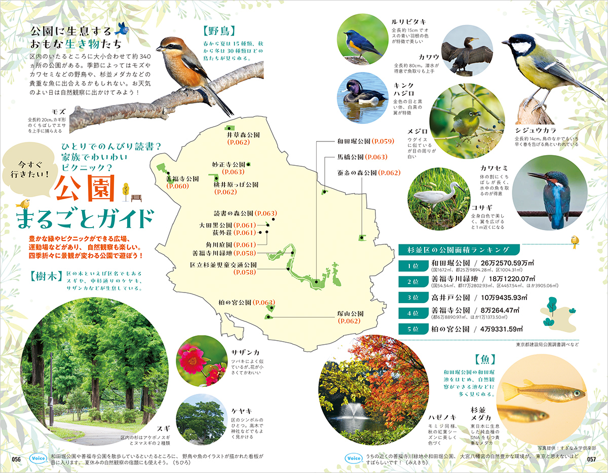 サムネイル画像5