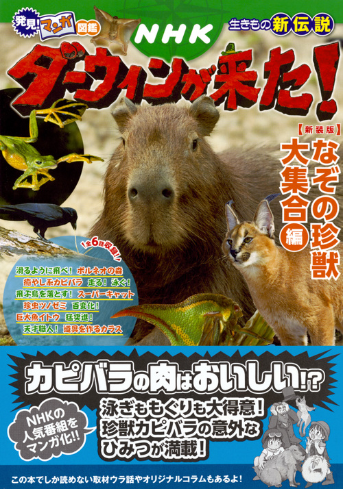 サムネイル画像1