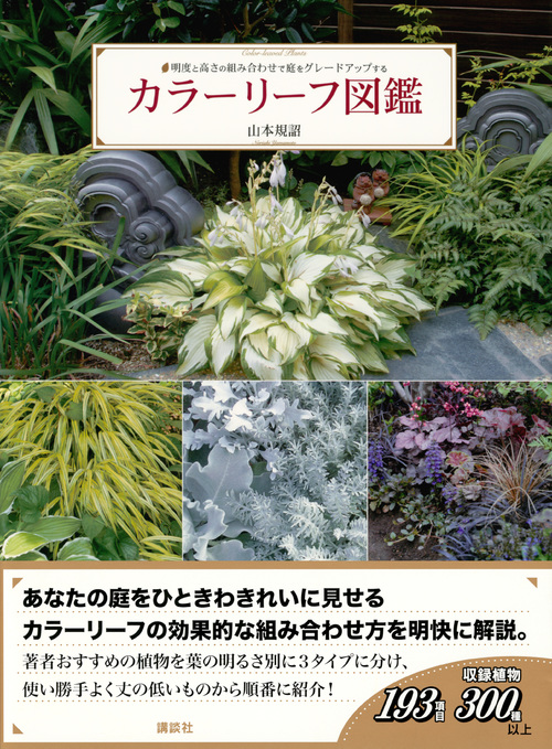サムネイル画像1