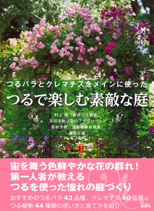 サムネイル画像1