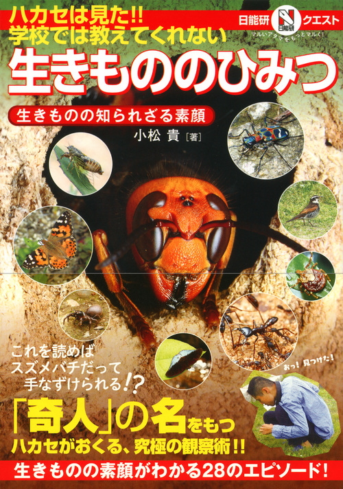サムネイル画像1