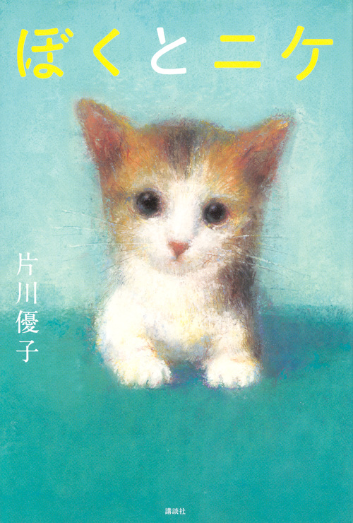 メイン画像