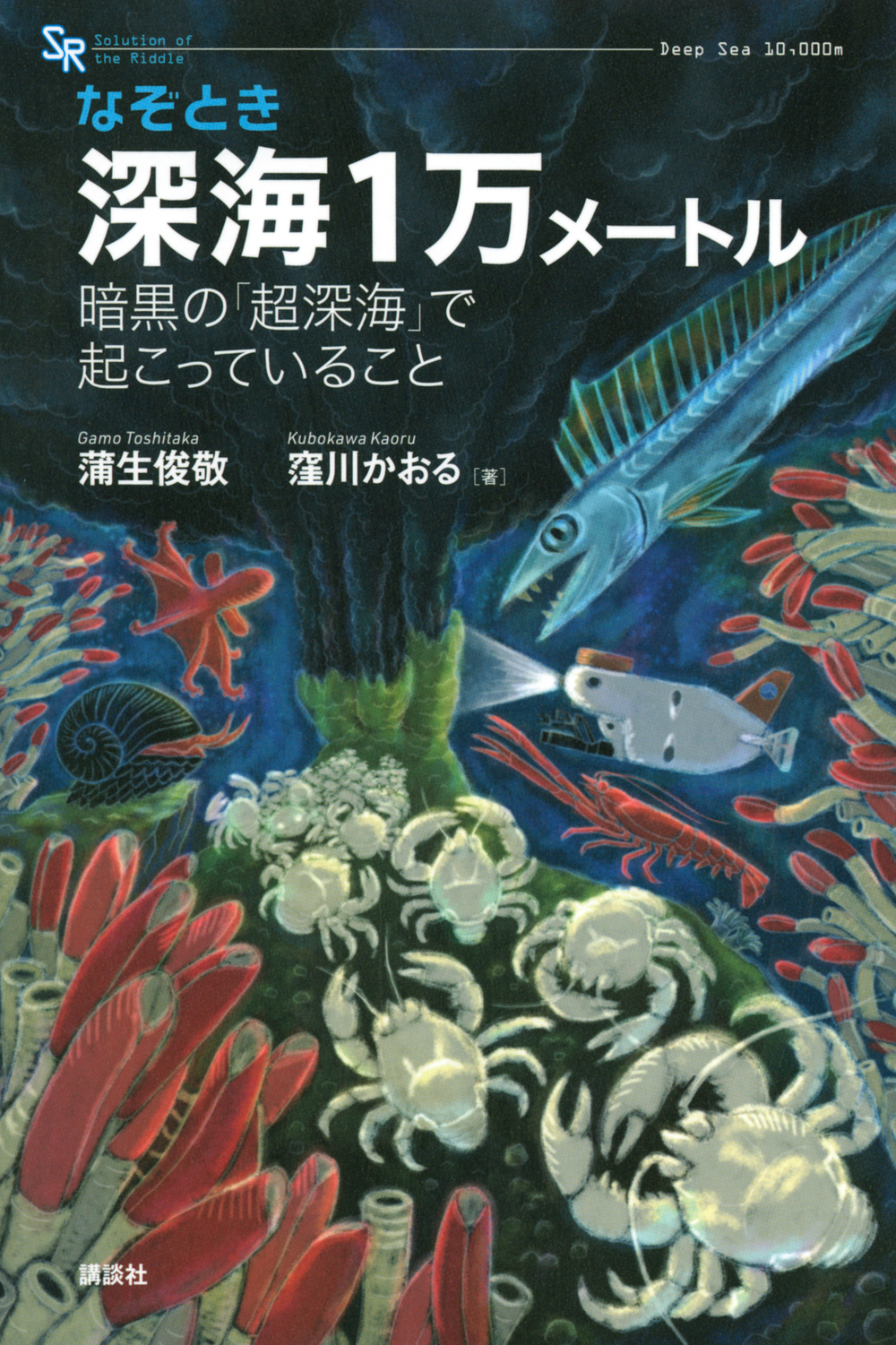 メイン画像