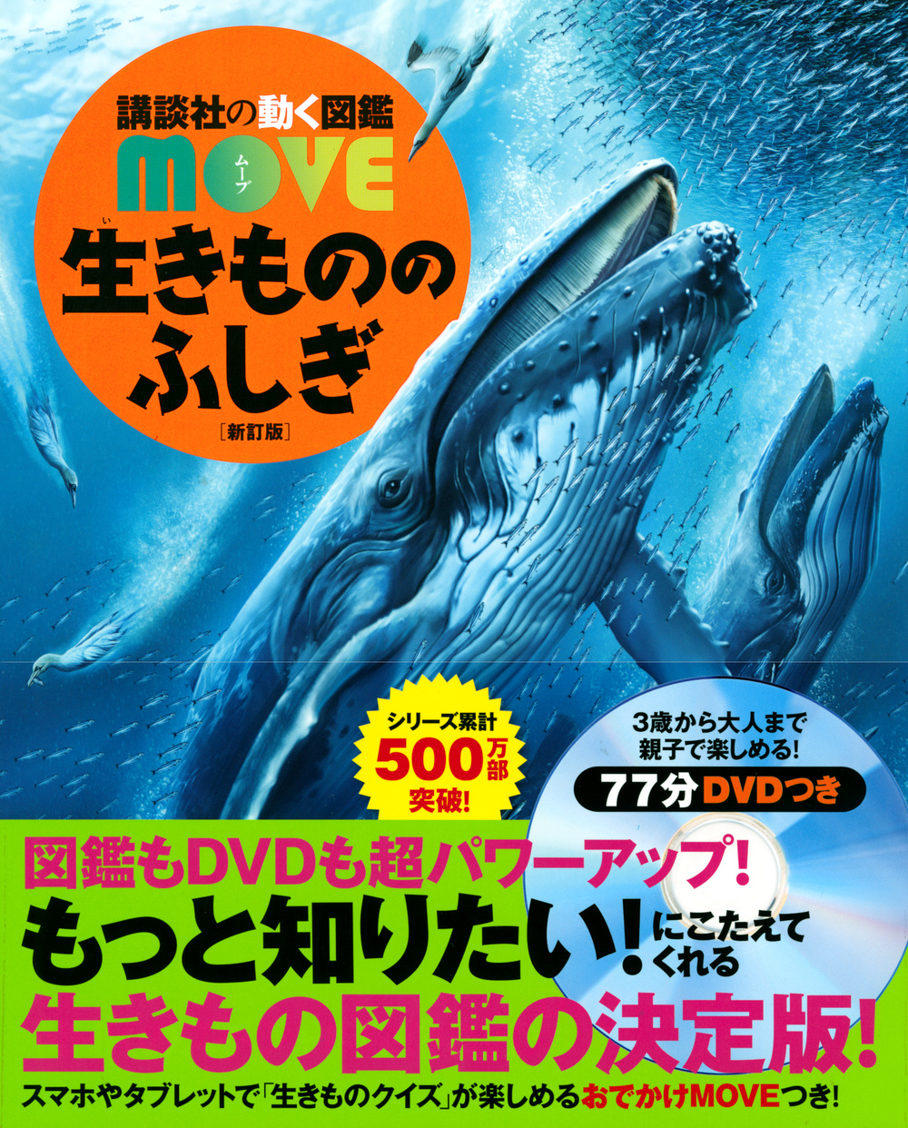 サムネイル画像1