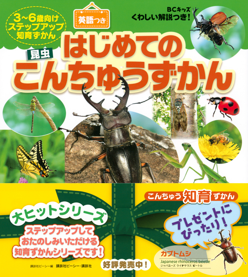 サムネイル画像1