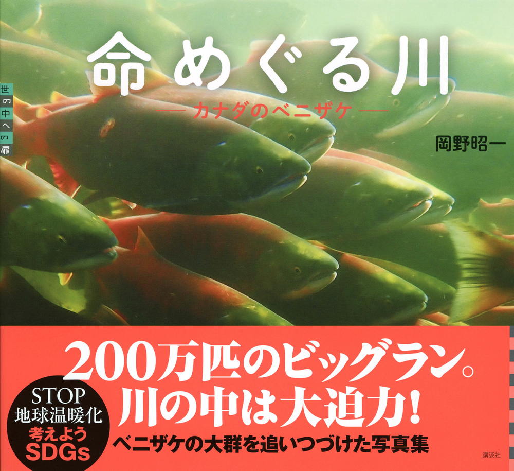 サムネイル画像1
