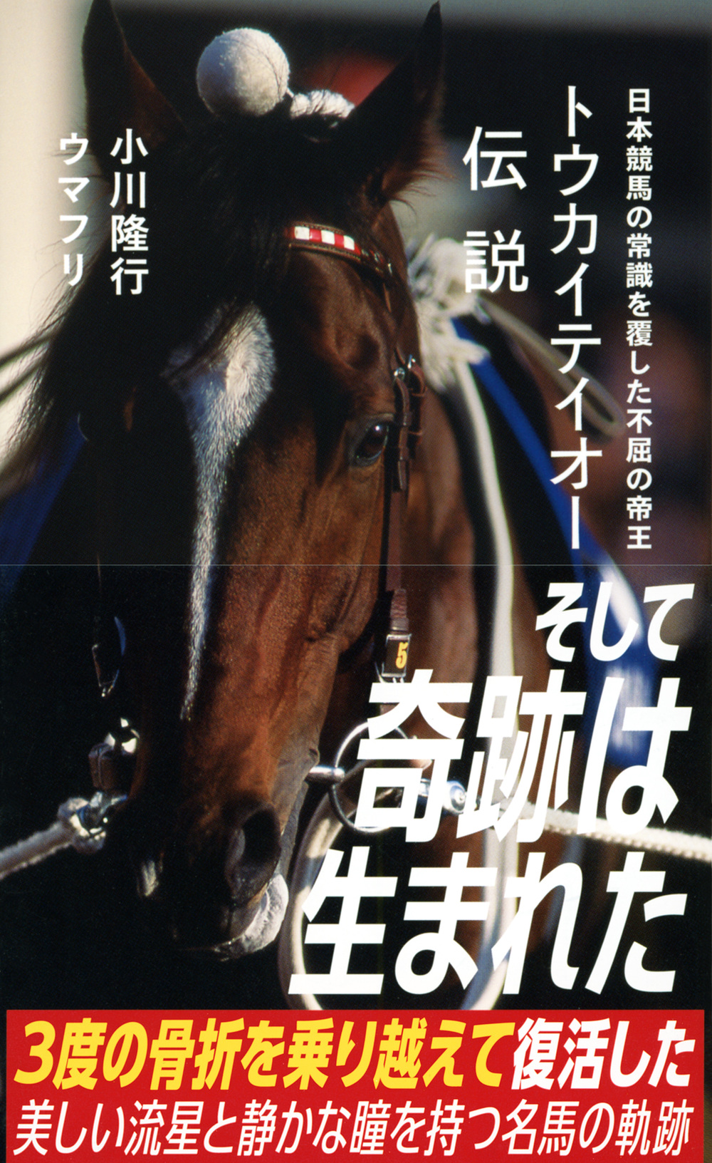 サムネイル画像1