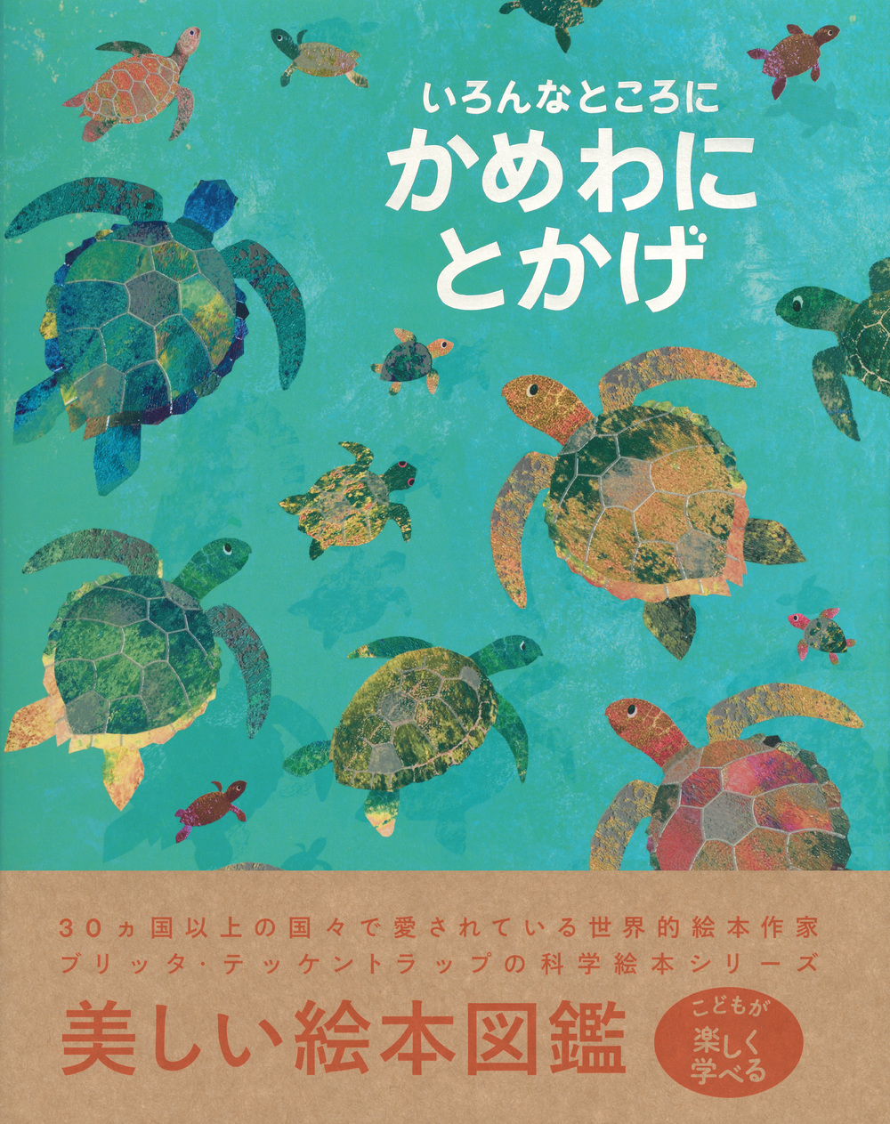 サムネイル画像1
