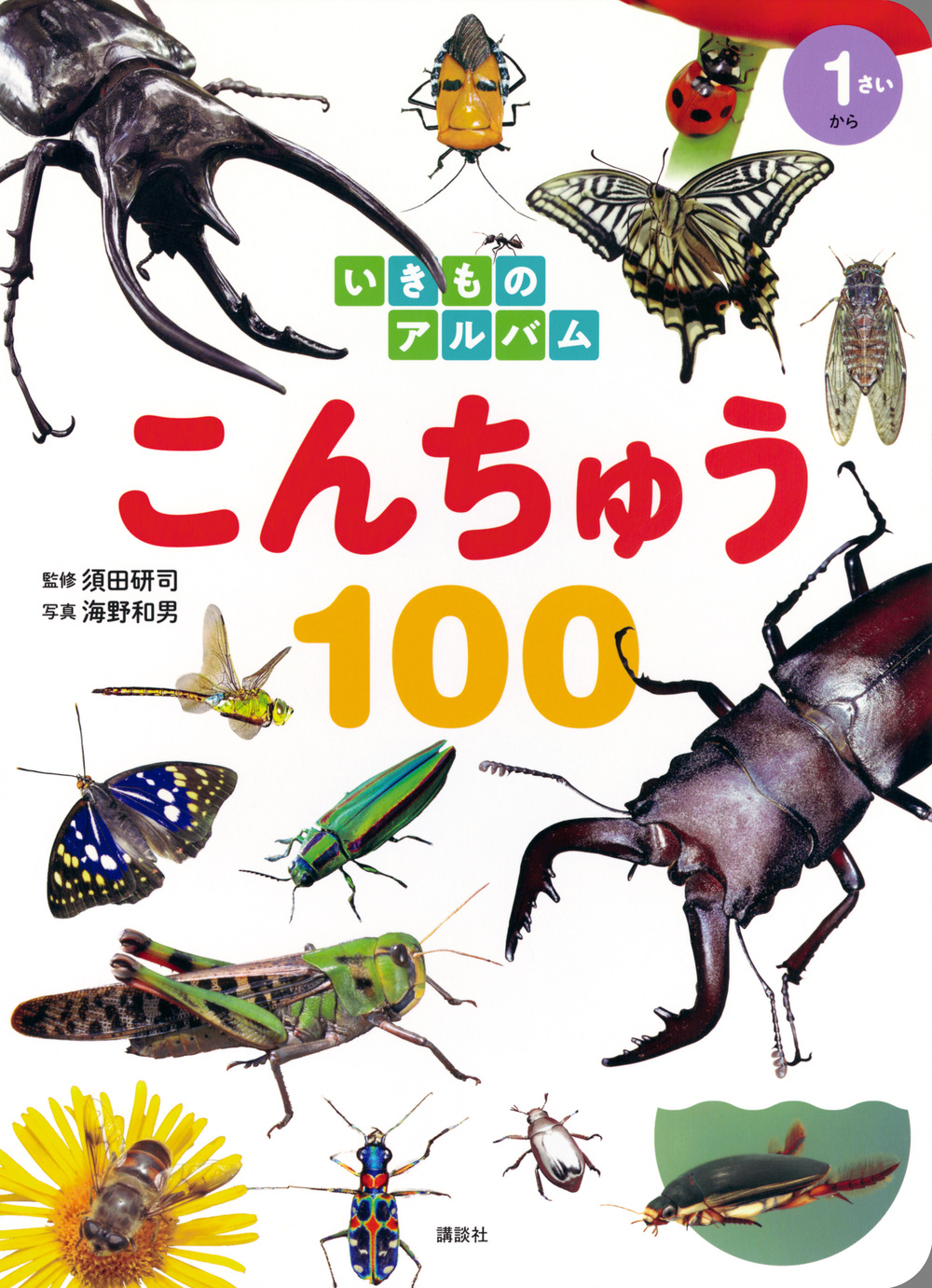 メイン画像