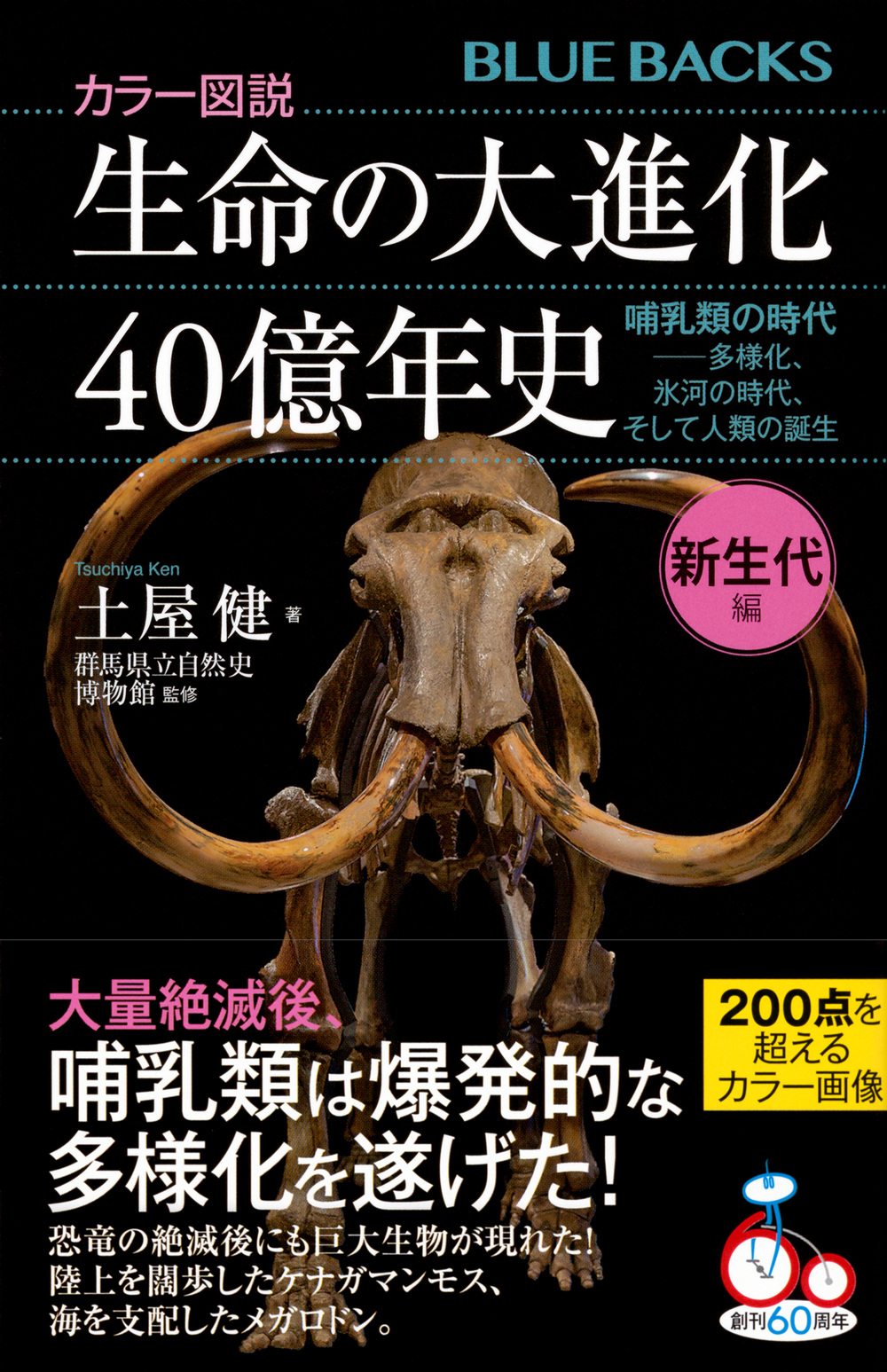 サムネイル画像1