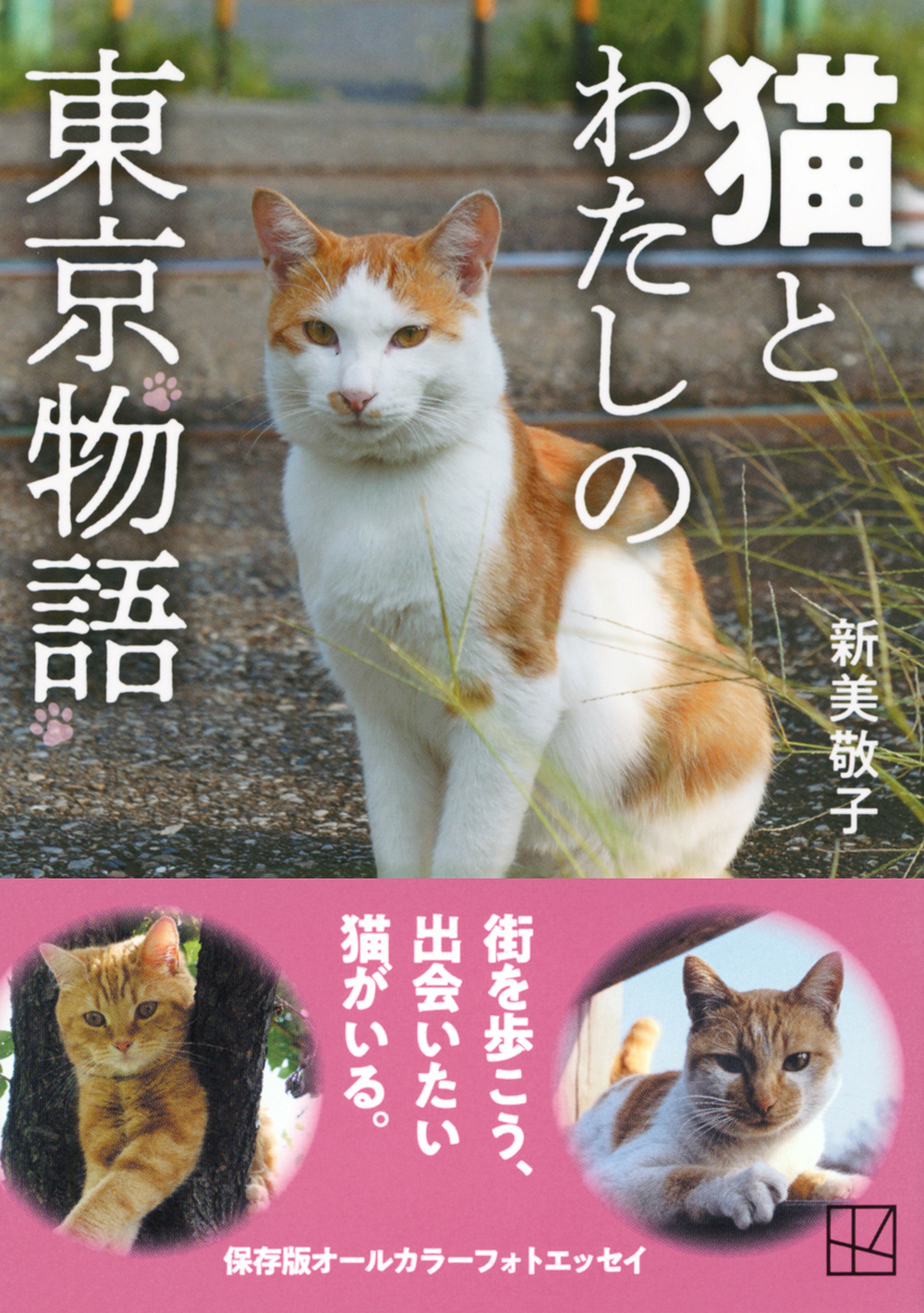 サムネイル画像1