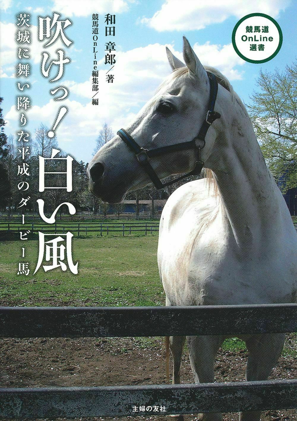 メイン画像