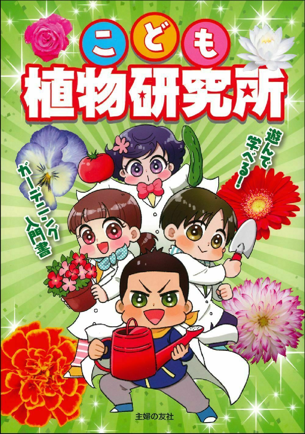メイン画像