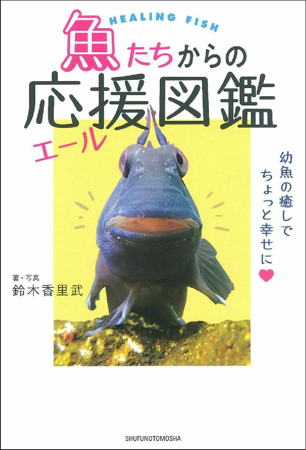 メイン画像
