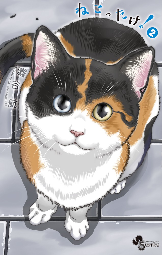 メイン画像
