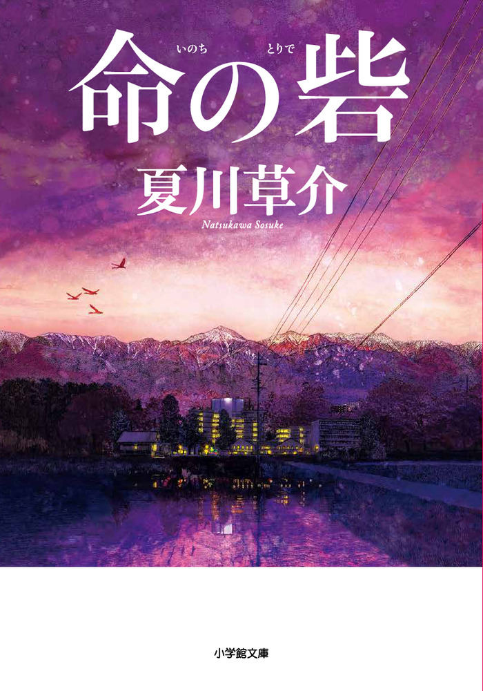 メイン画像