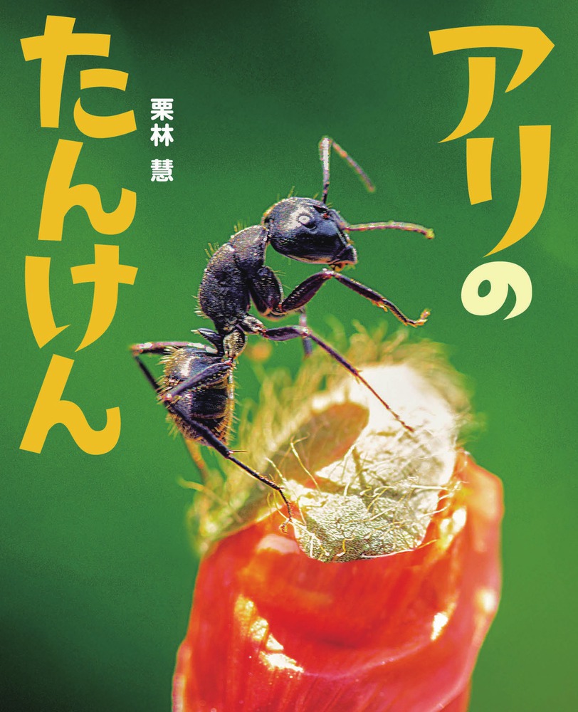 メイン画像