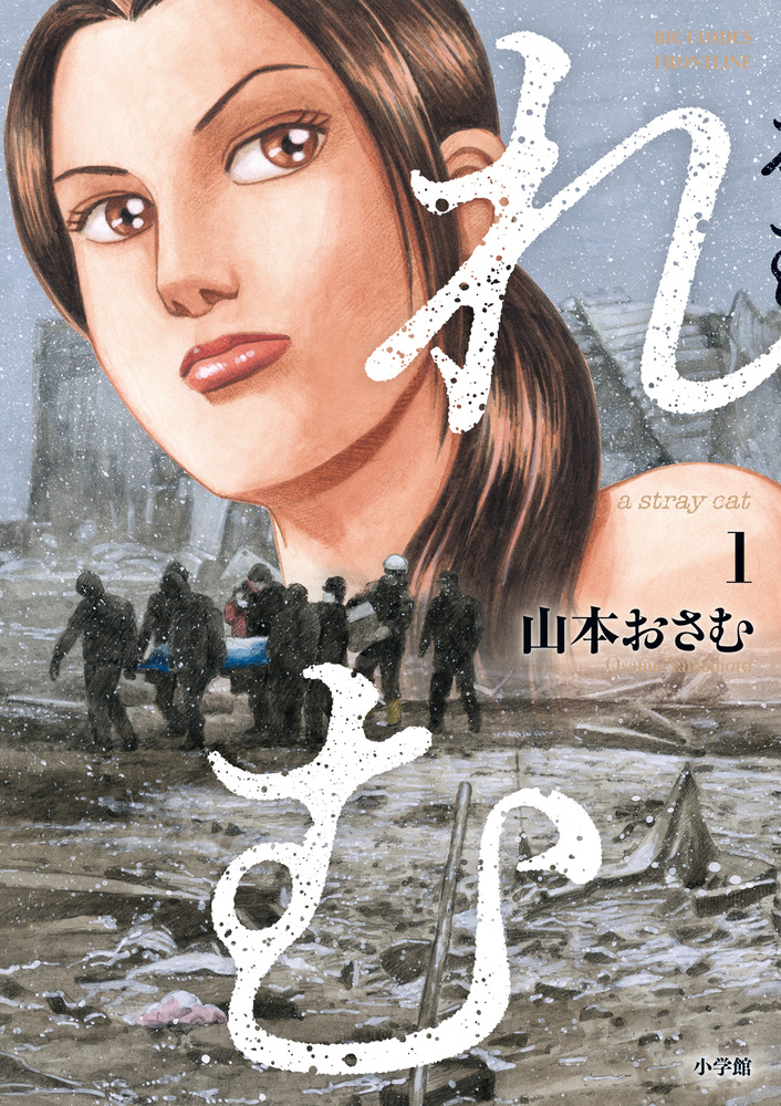 メイン画像