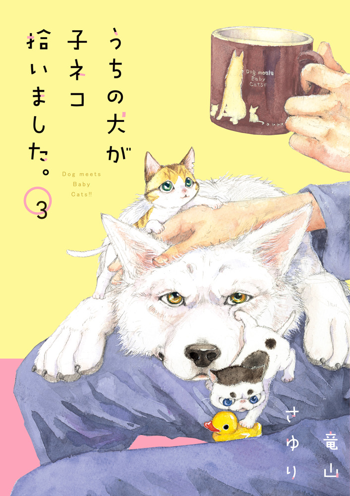 メイン画像
