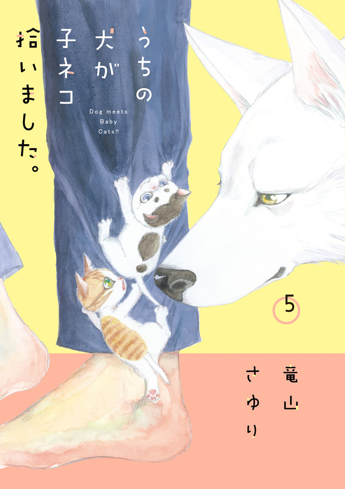 メイン画像