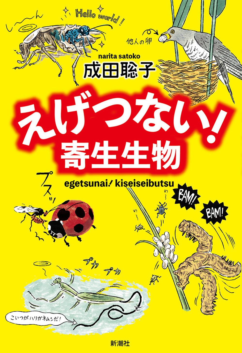 メイン画像