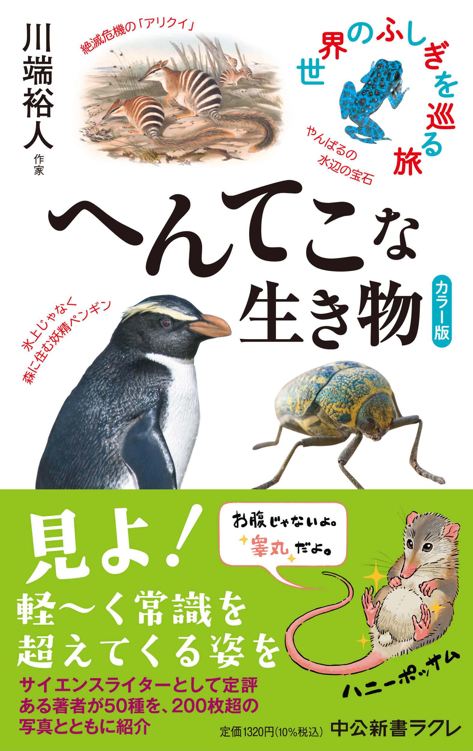 メイン画像