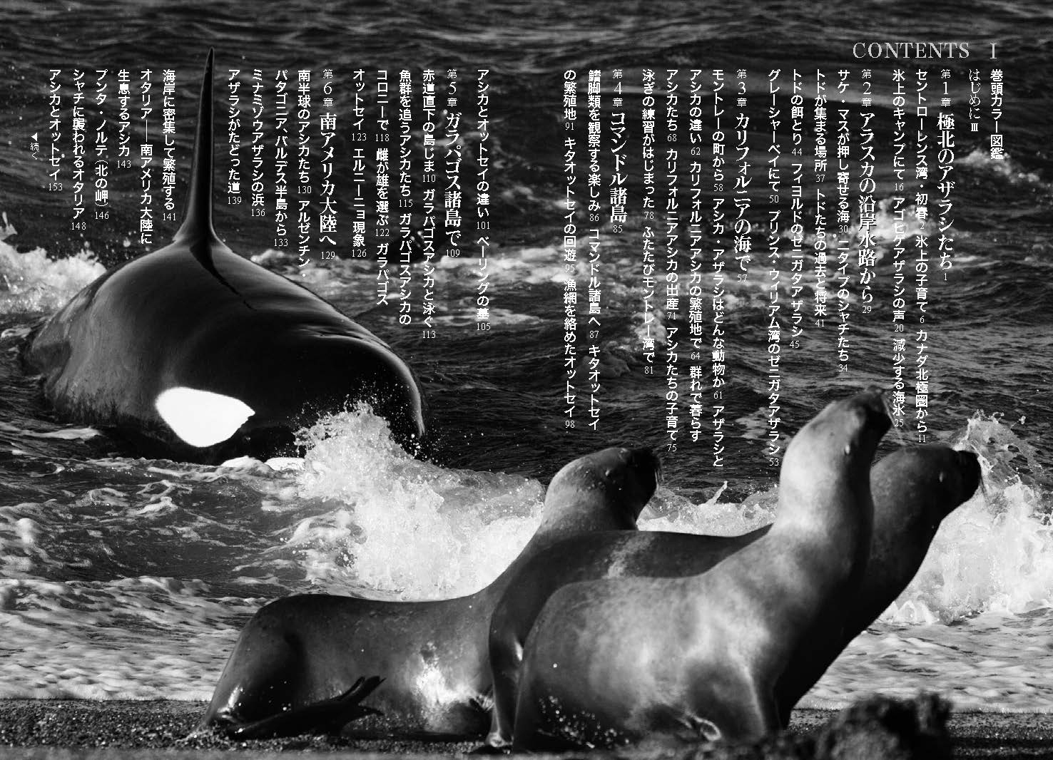 サムネイル画像1