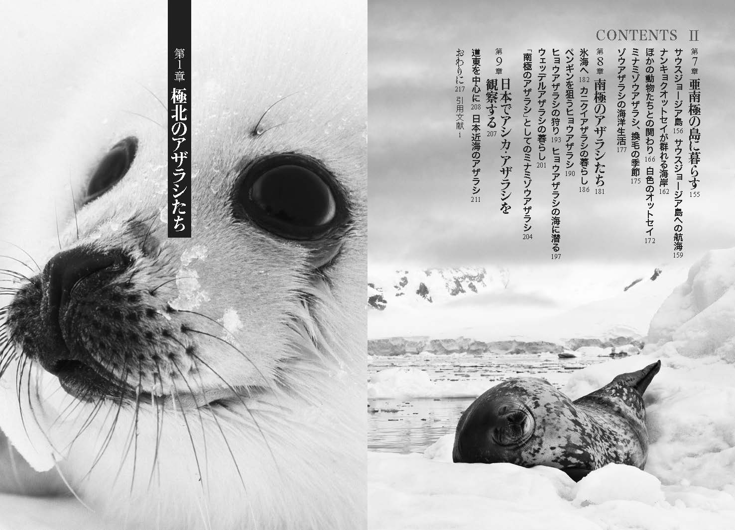 サムネイル画像2