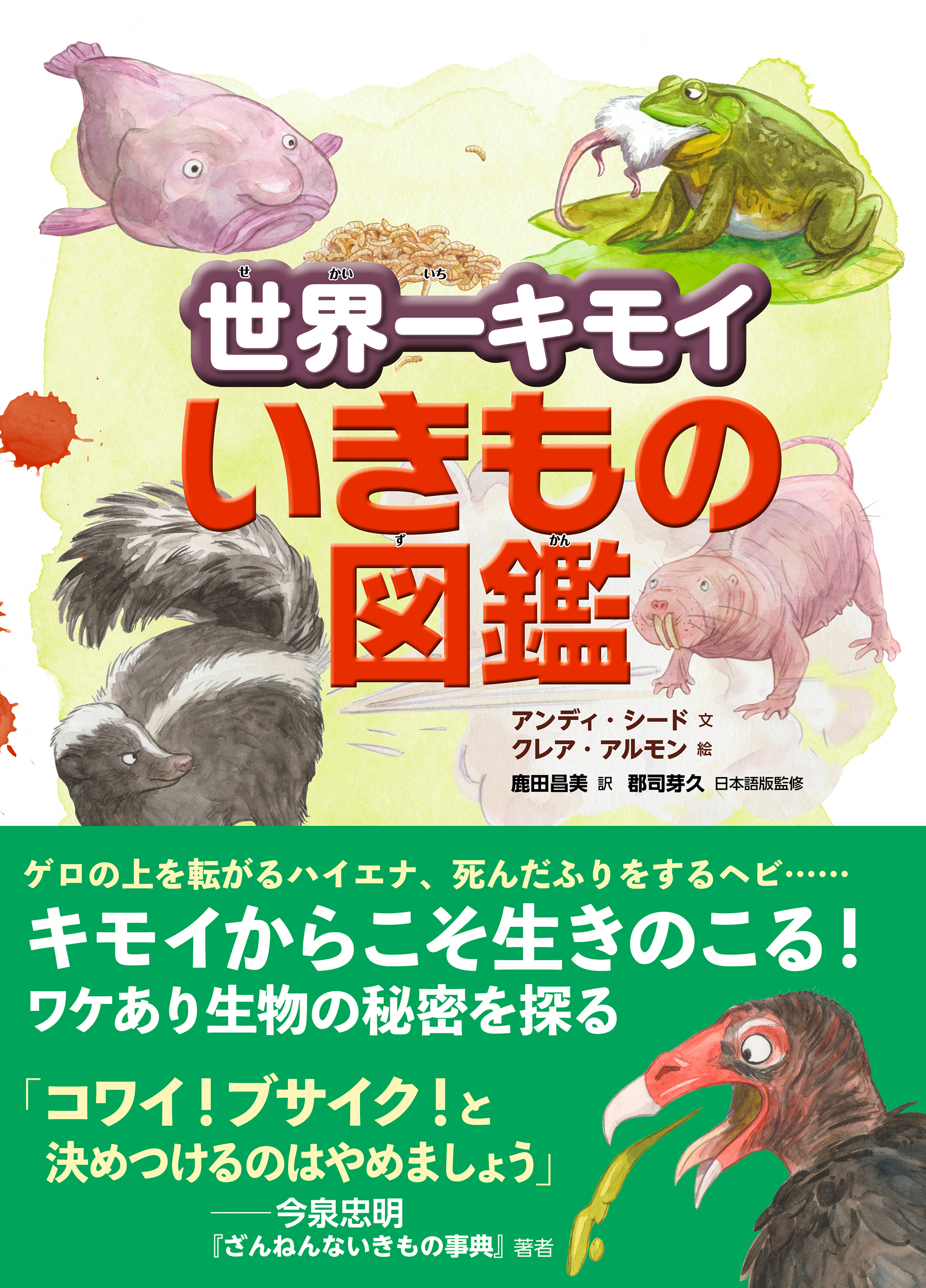 メイン画像