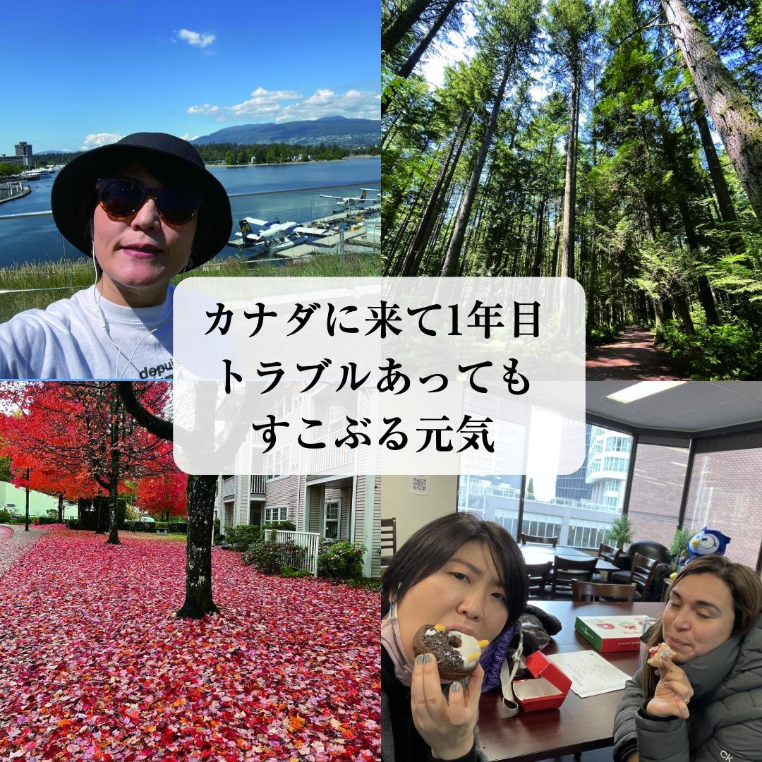 サムネイル画像5