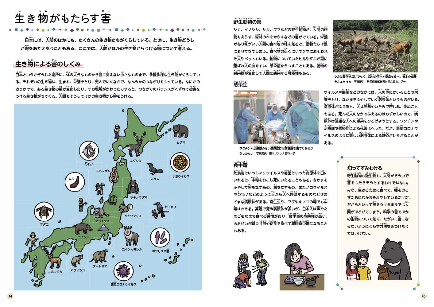 サムネイル画像5