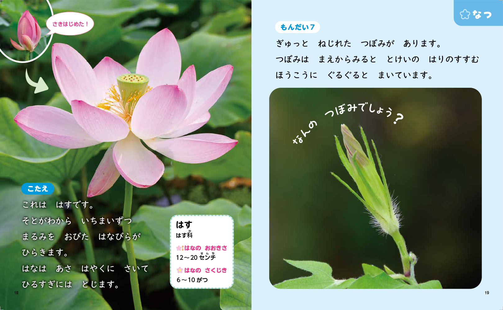 サムネイル画像4