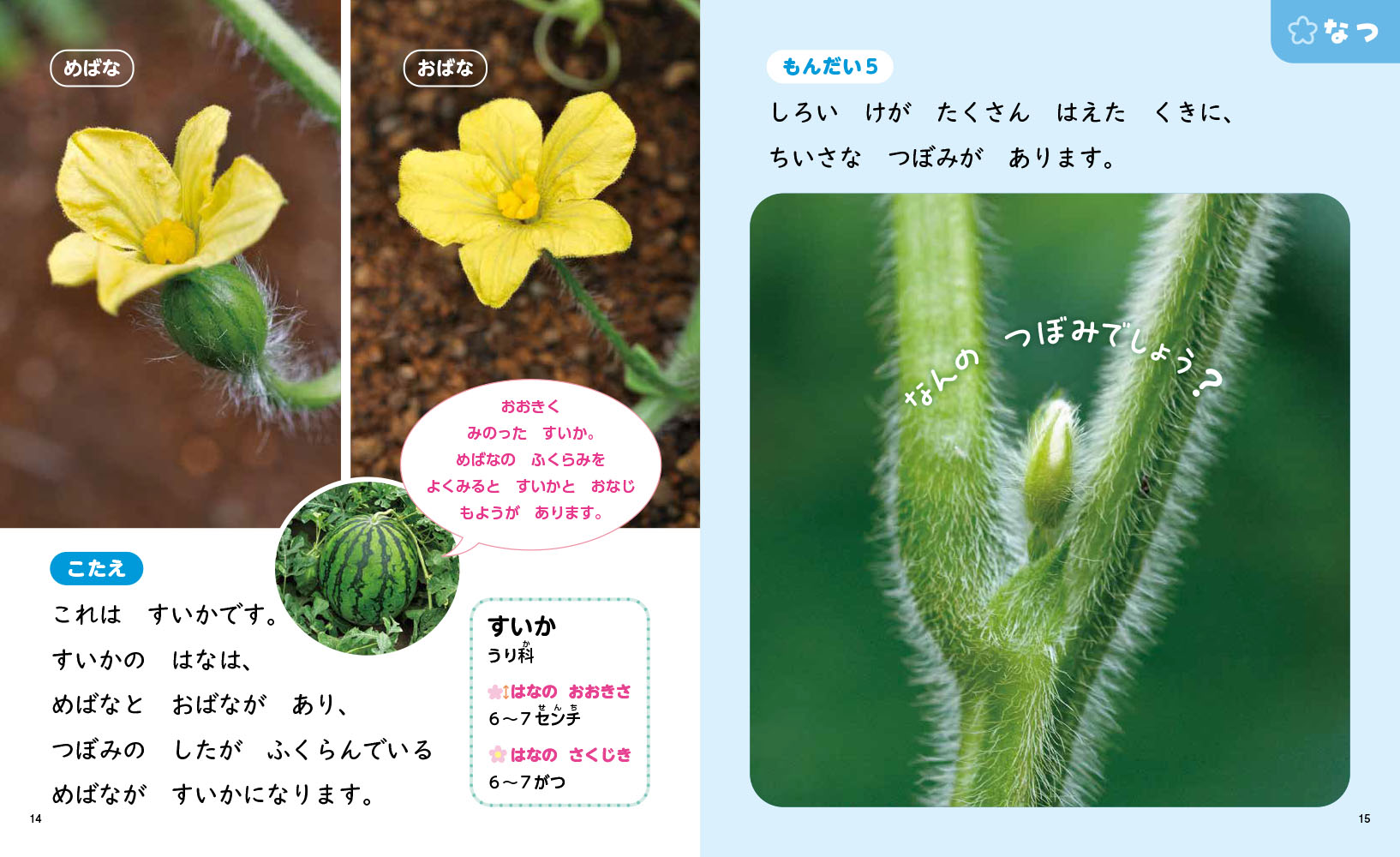 サムネイル画像3
