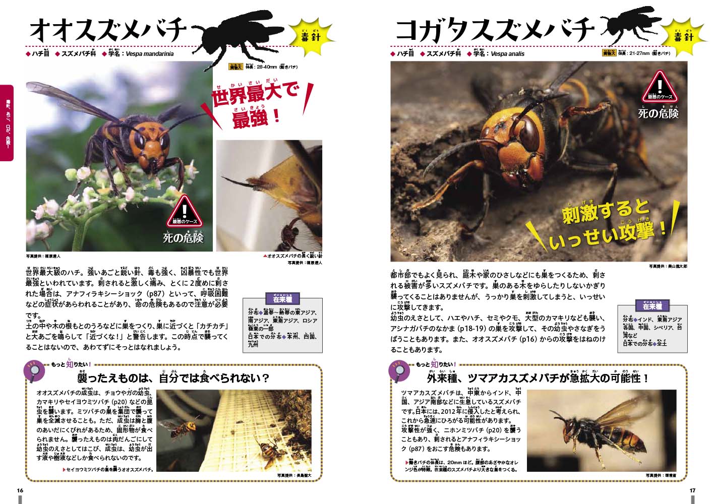 サムネイル画像2