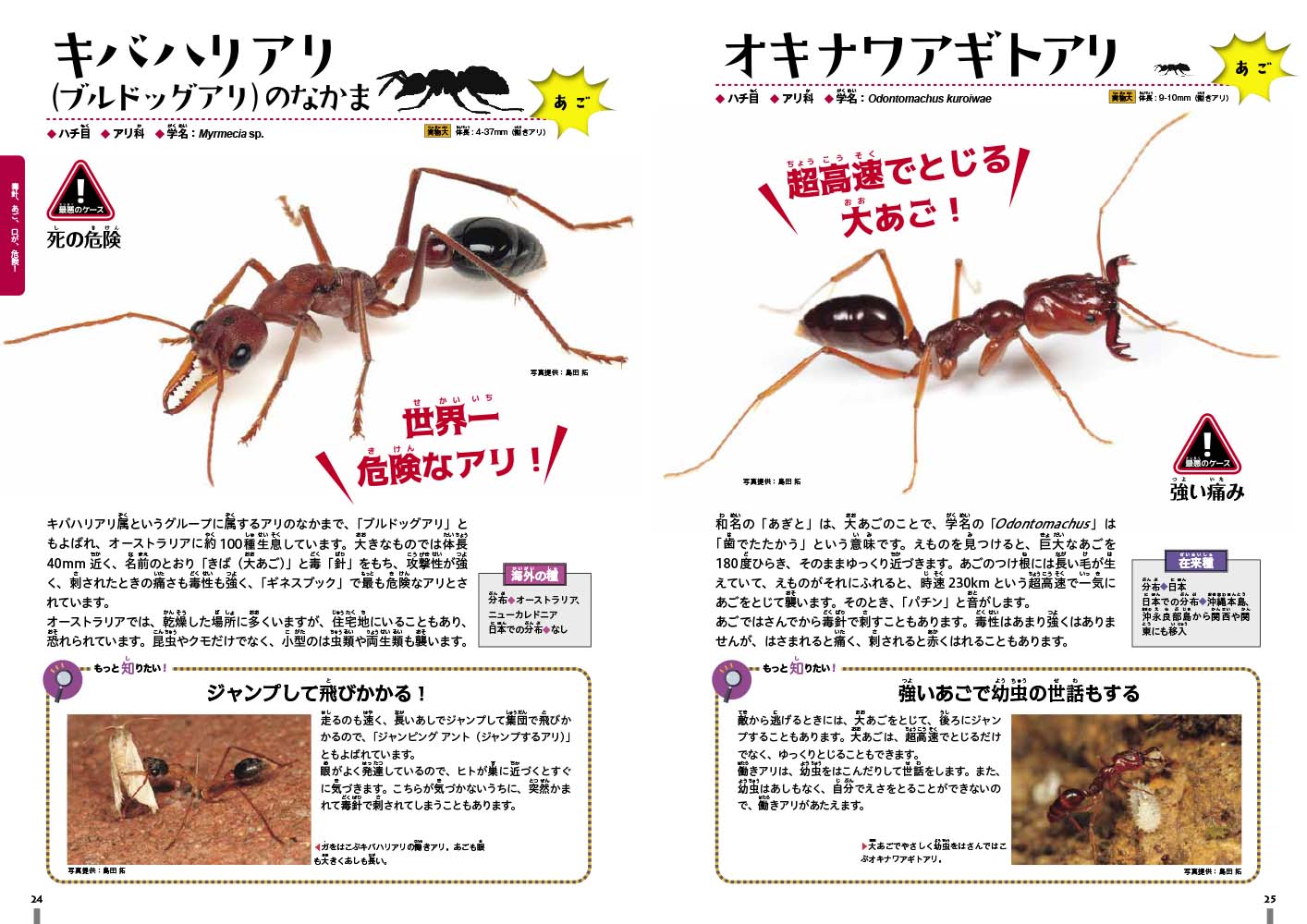 サムネイル画像3