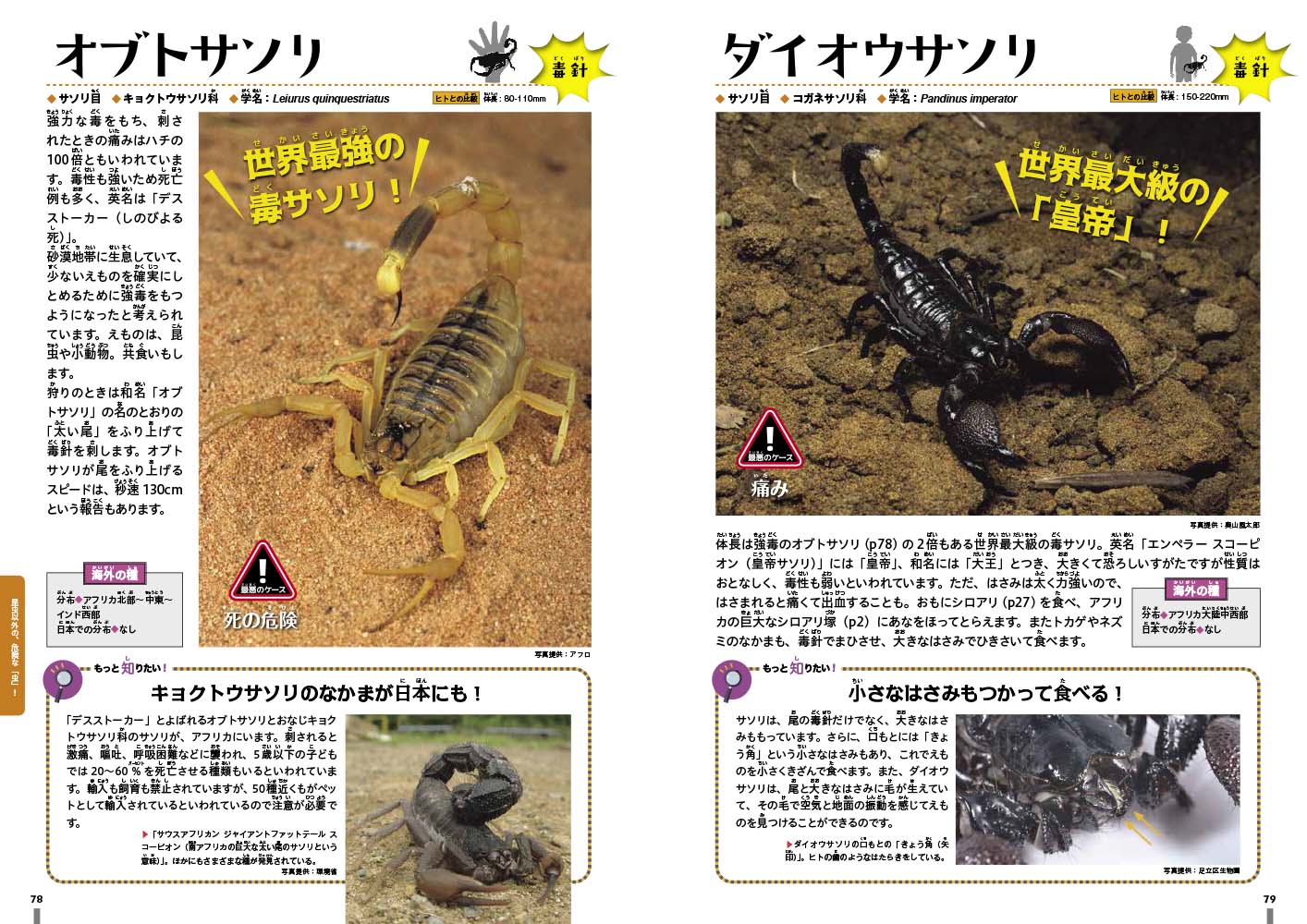 サムネイル画像4