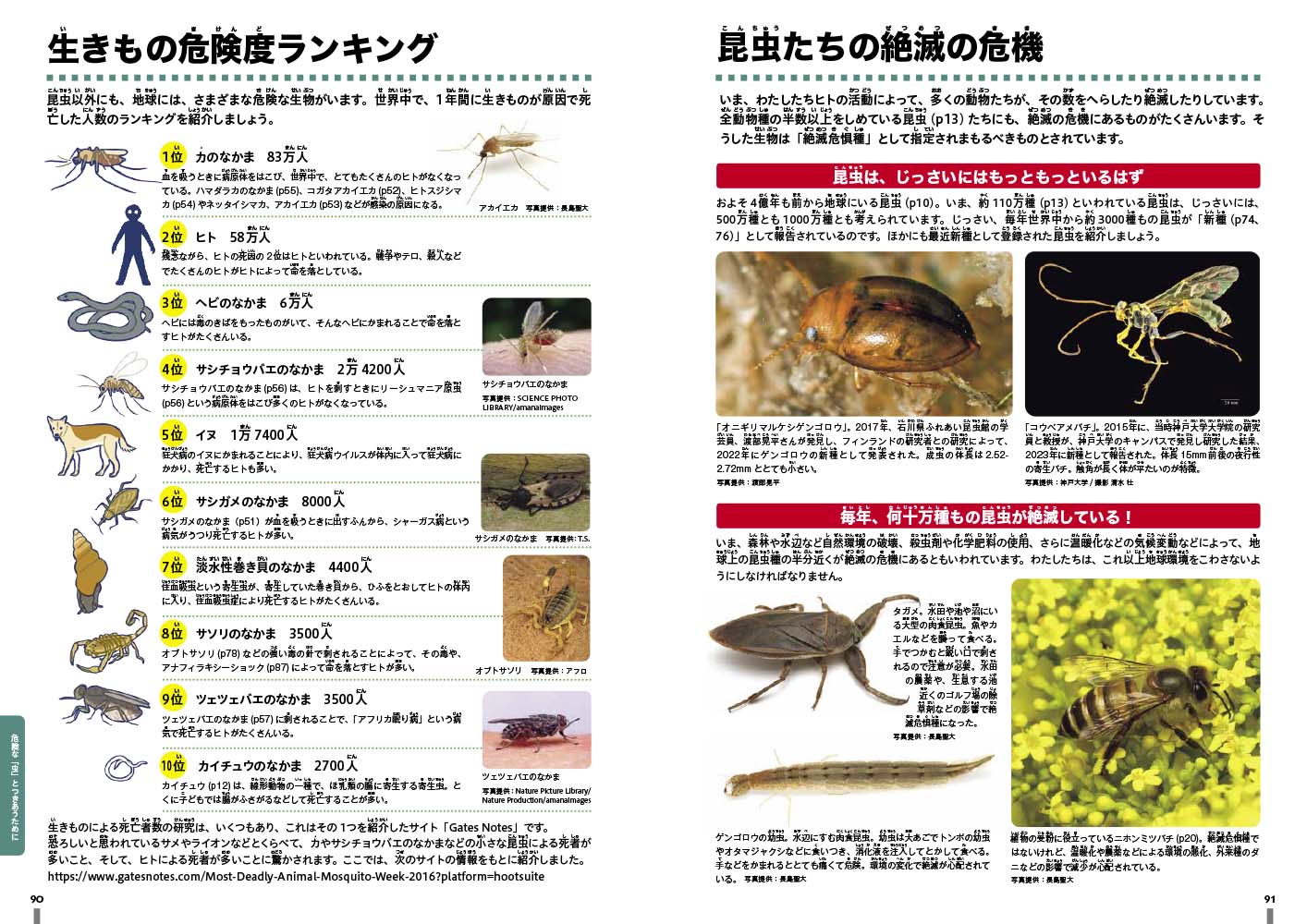 サムネイル画像5