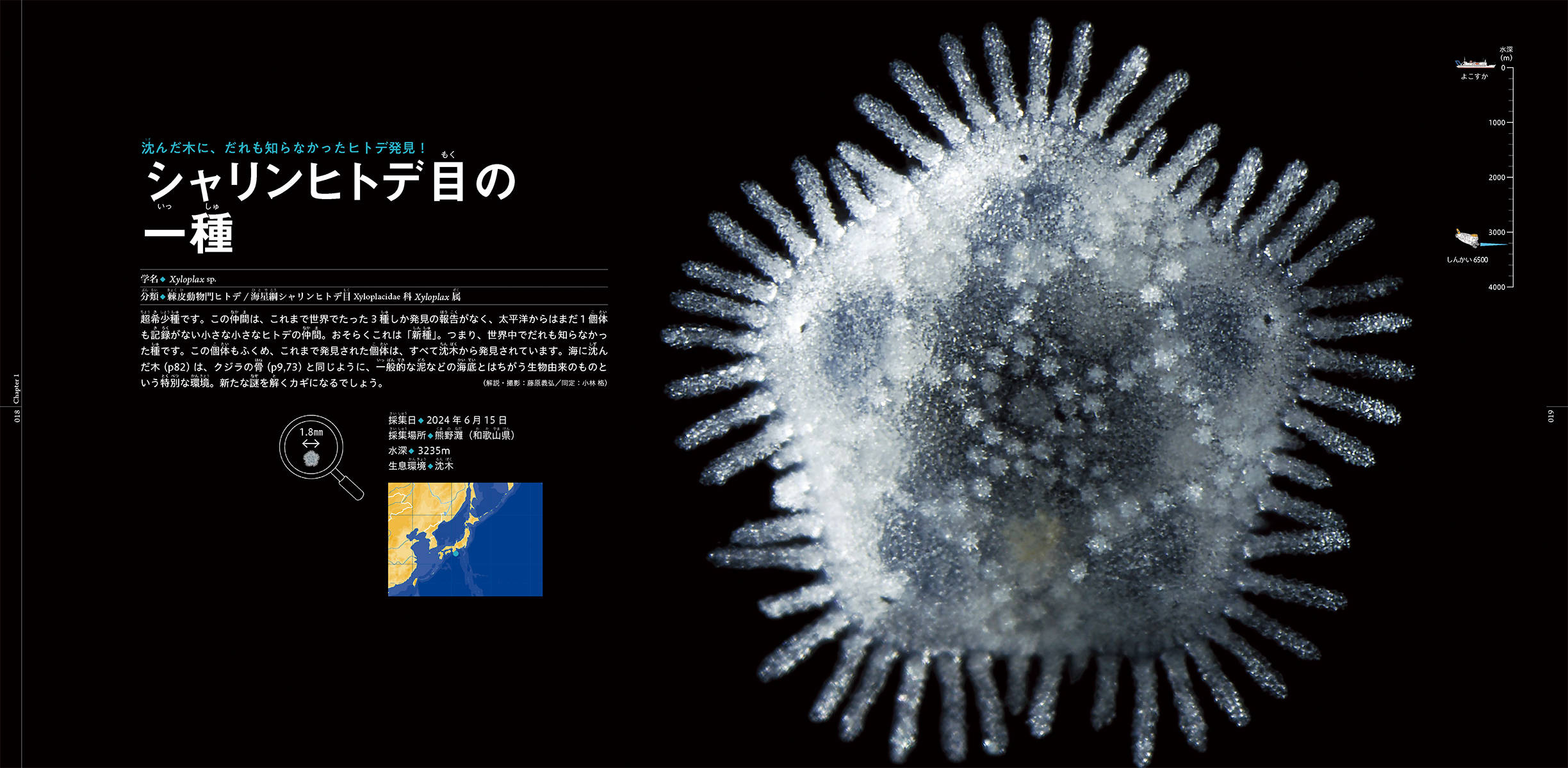 サムネイル画像1