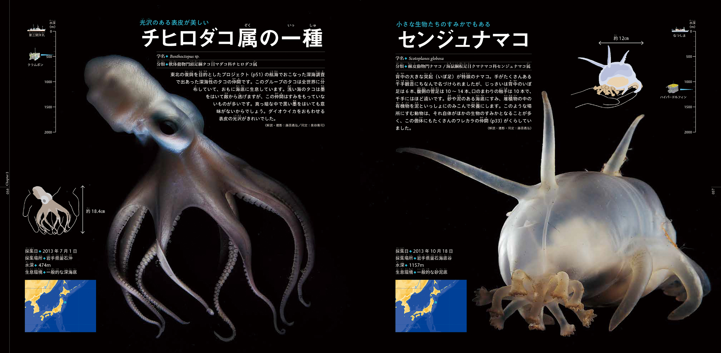 サムネイル画像3