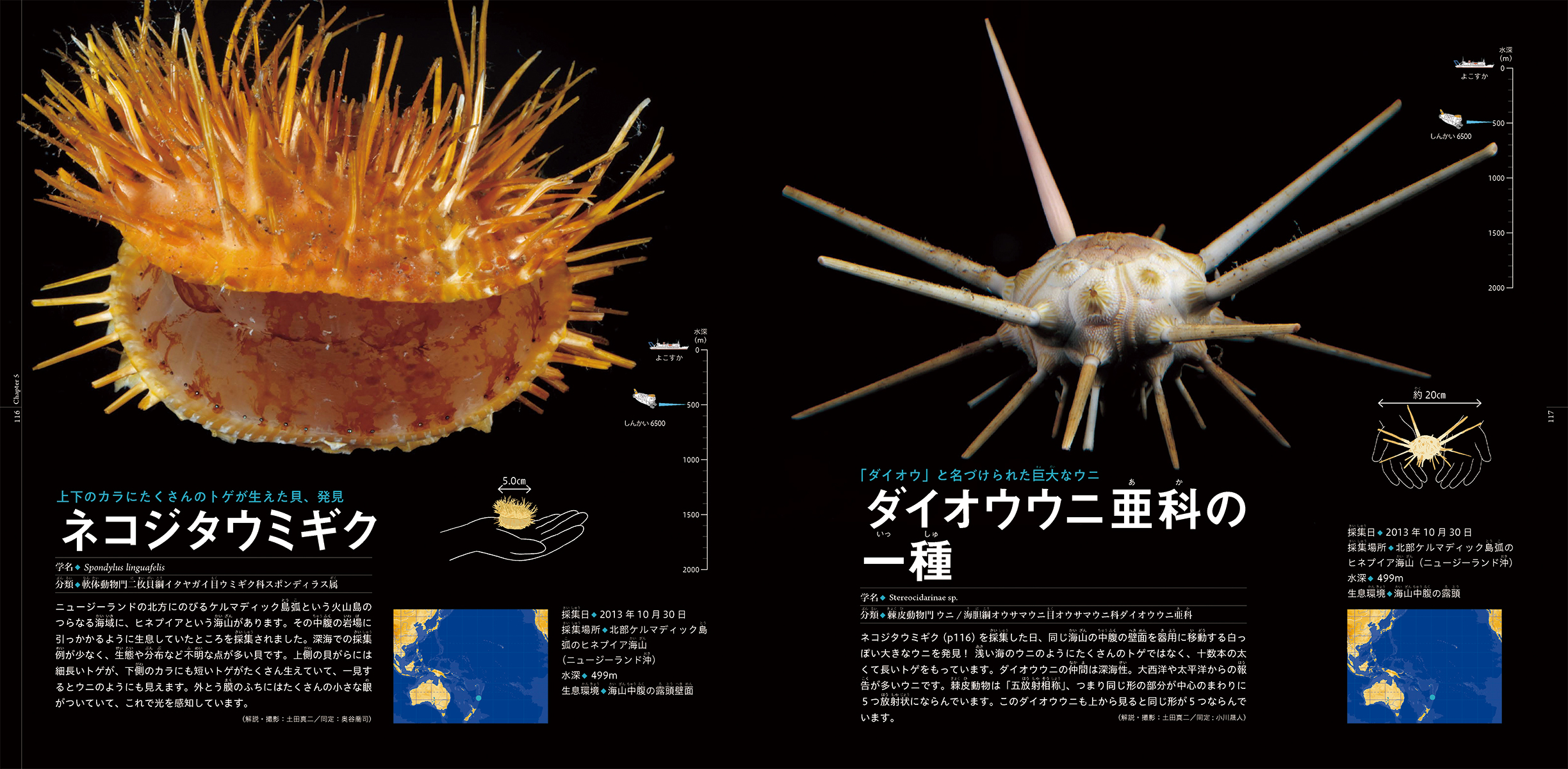 サムネイル画像4