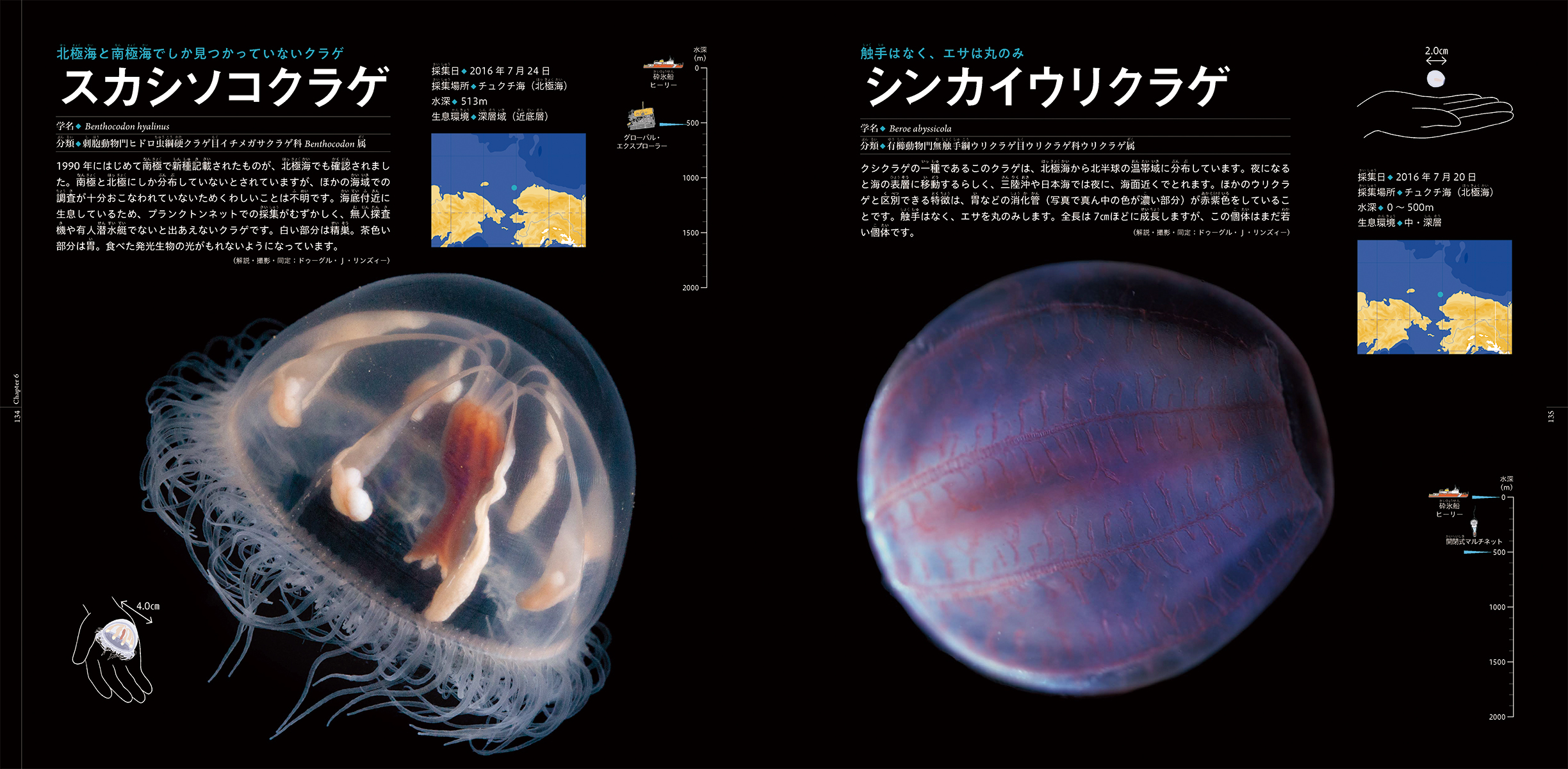 サムネイル画像5