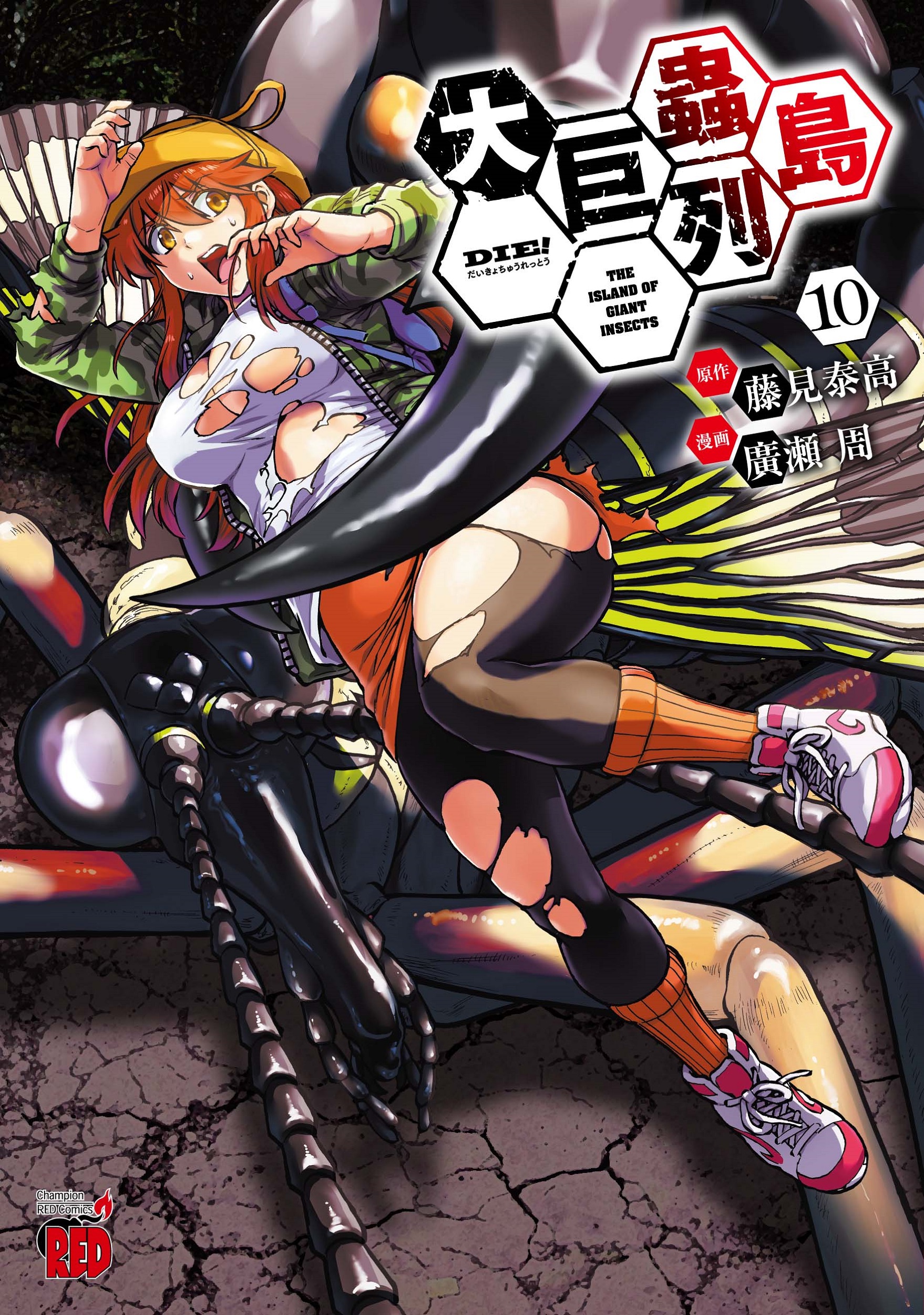 メイン画像