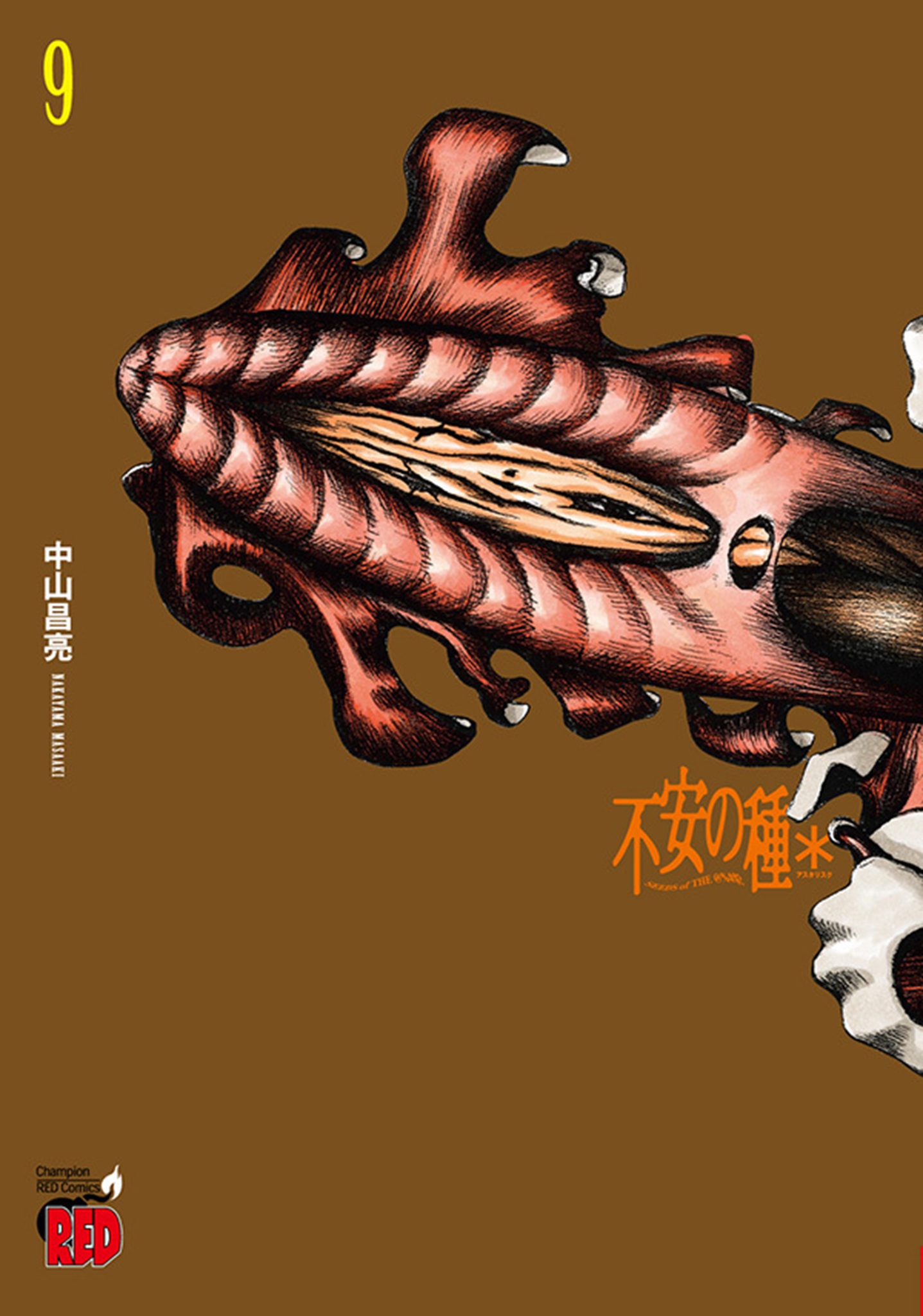 メイン画像
