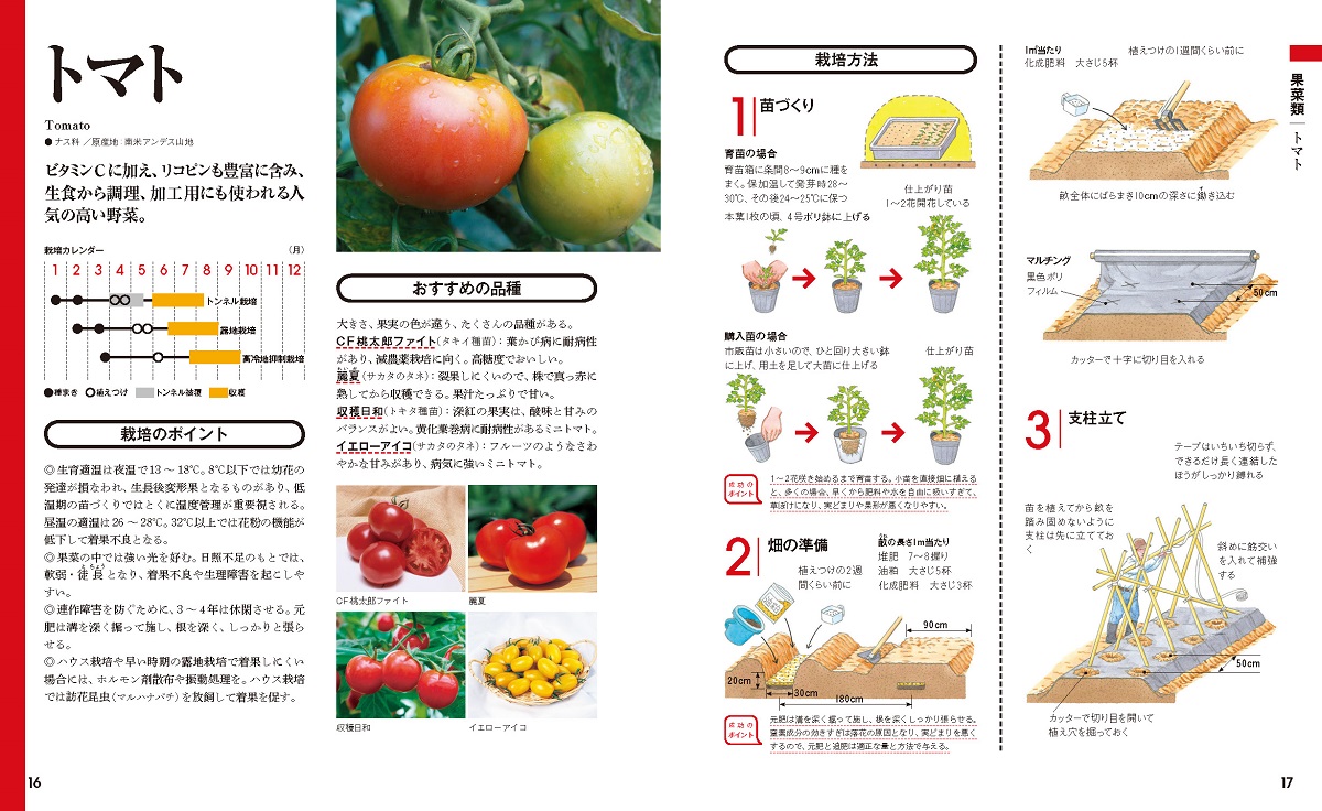 サムネイル画像2
