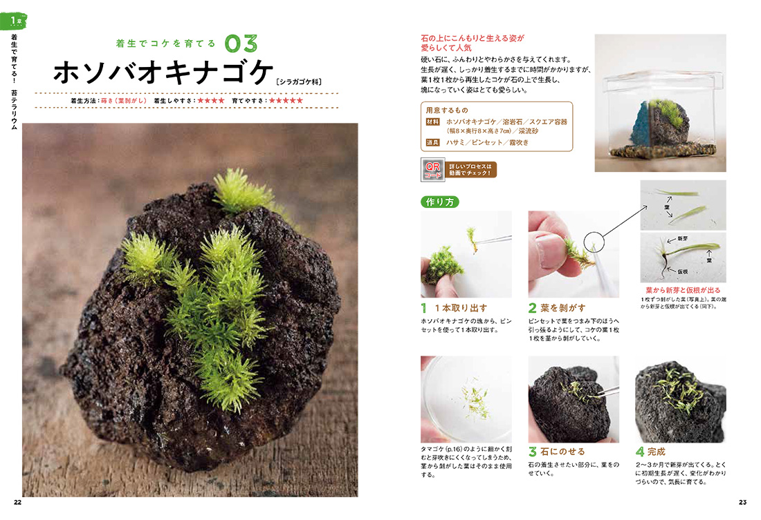 サムネイル画像2