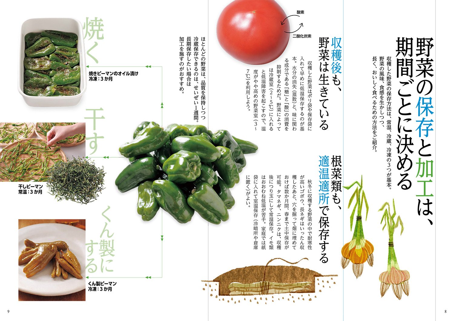 サムネイル画像2