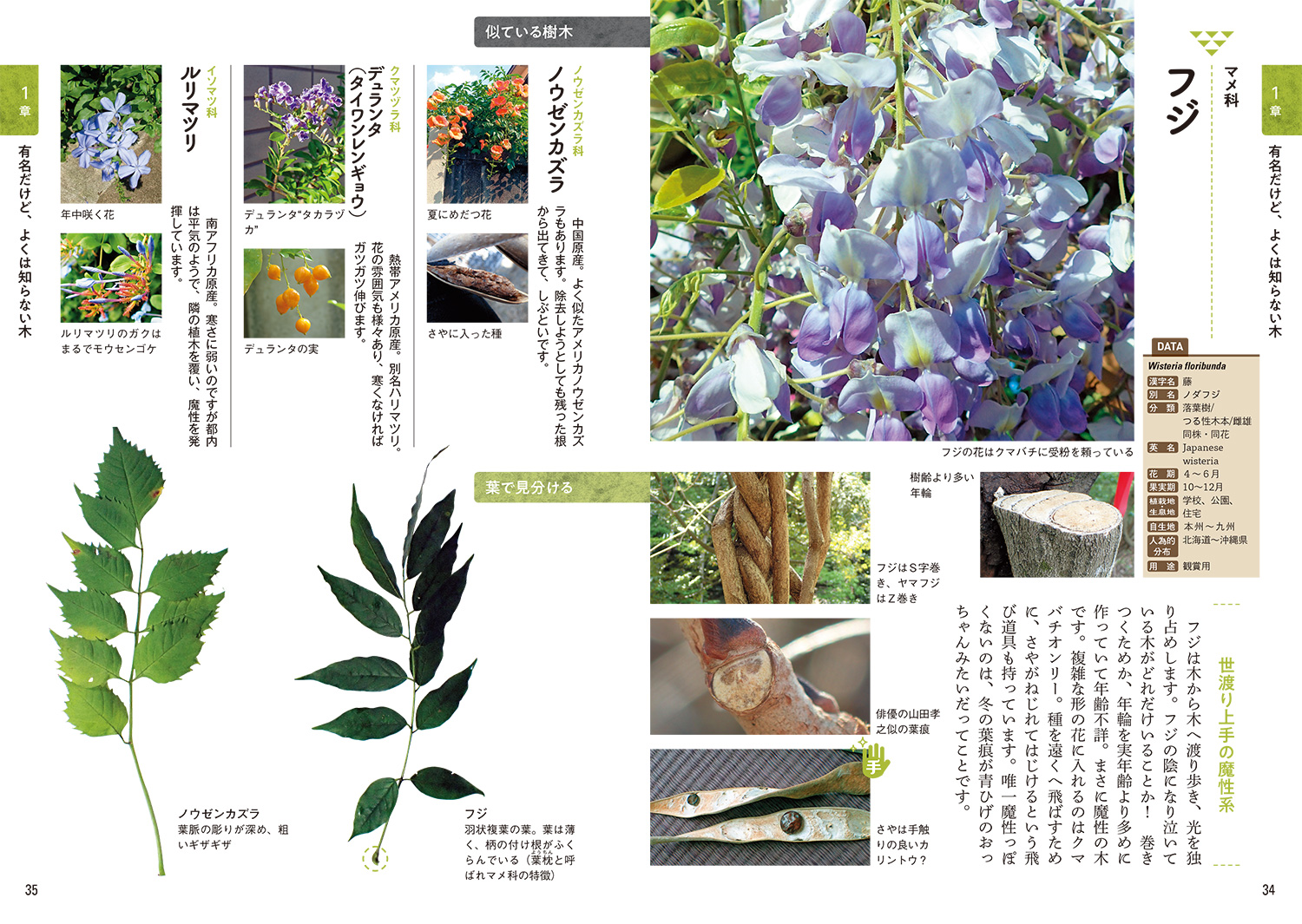 サムネイル画像2