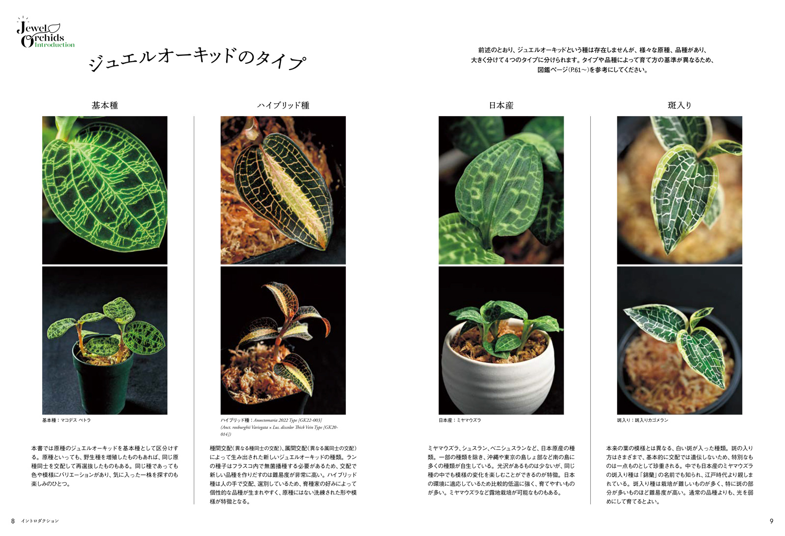 サムネイル画像2